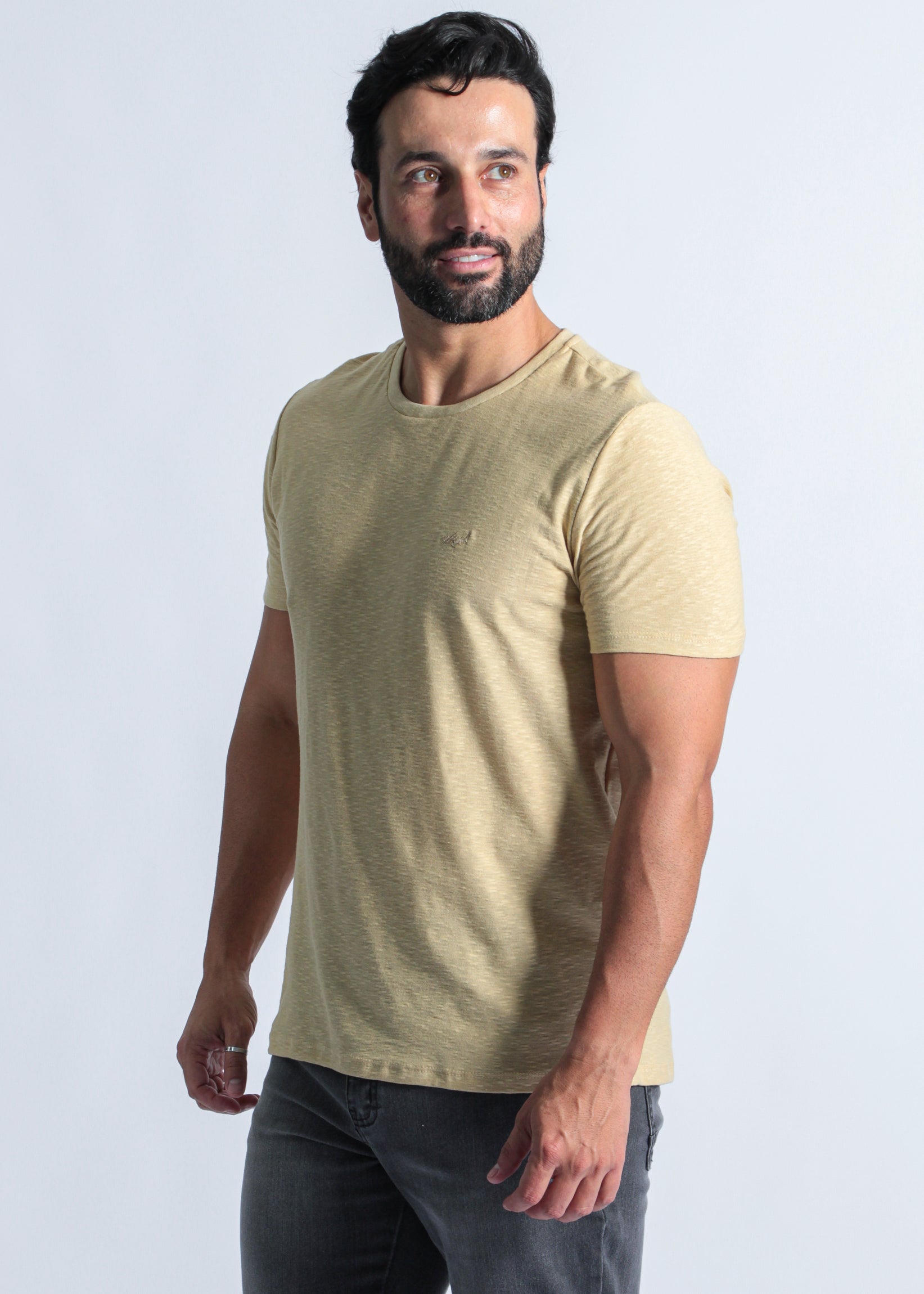 Camiseta Slim Flamê - Bege