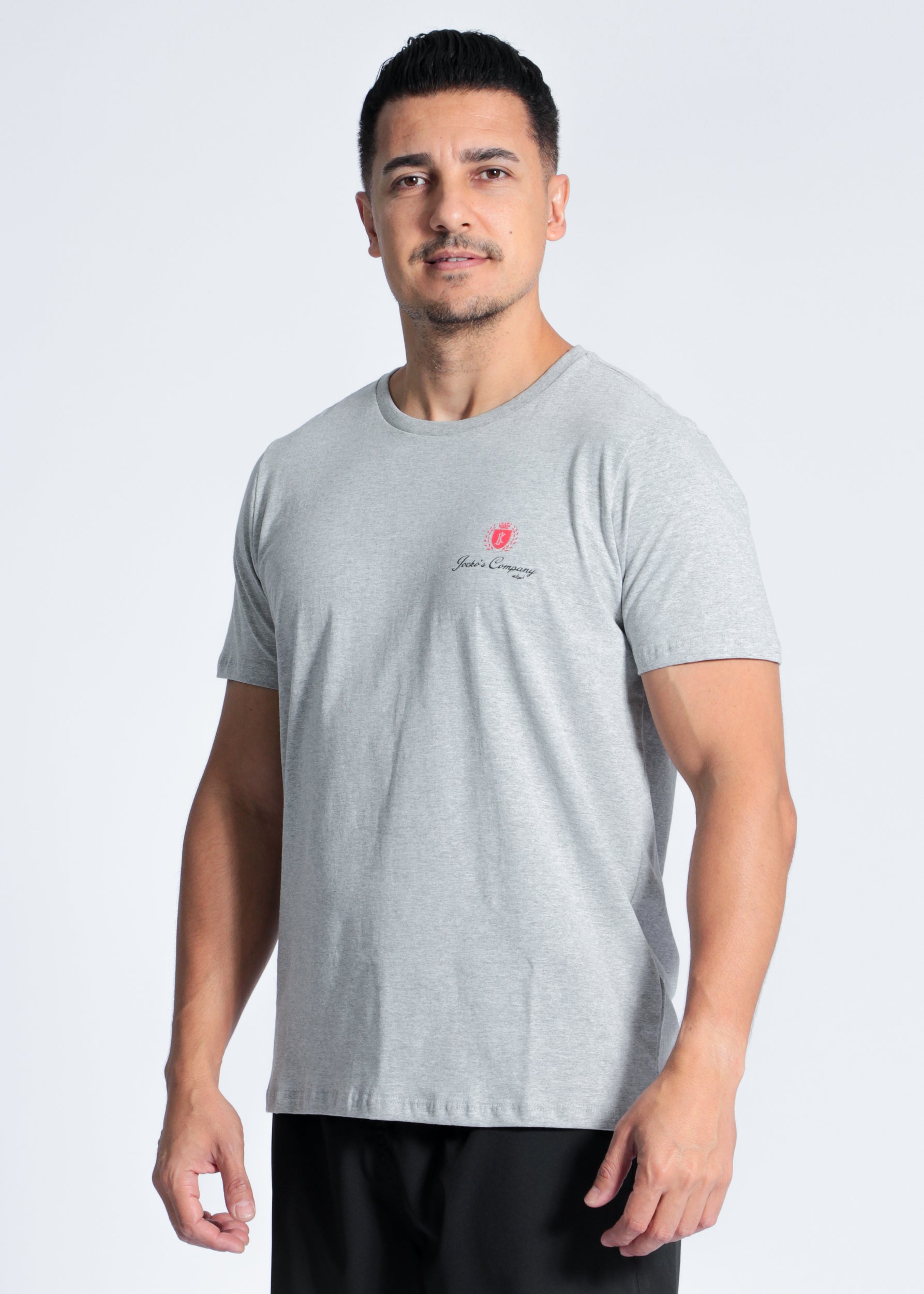 Camiseta Estampada Hawaii Beach - Cinza