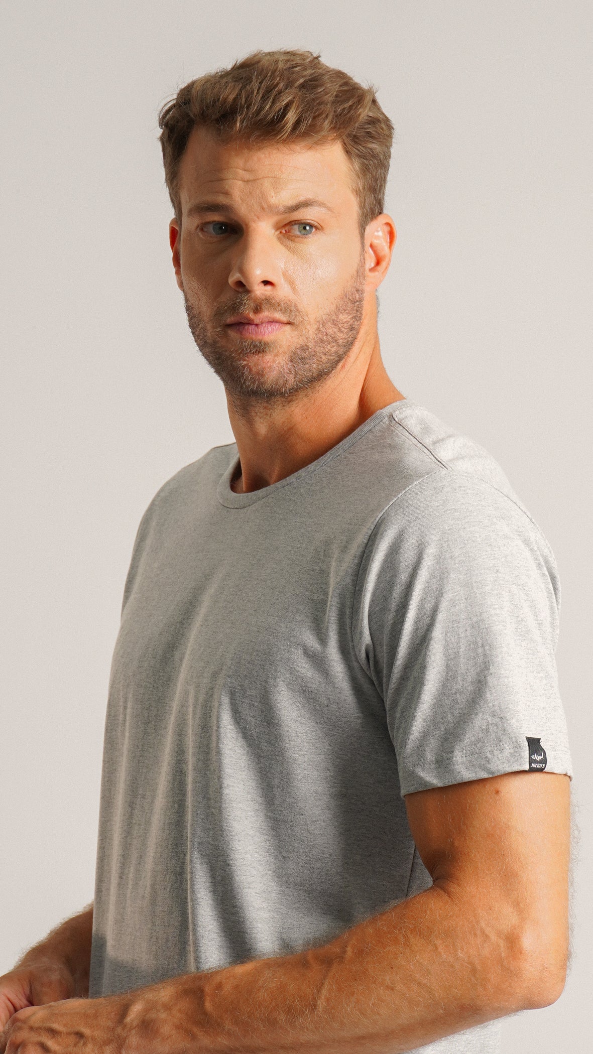 Camiseta Lisa - Cinza