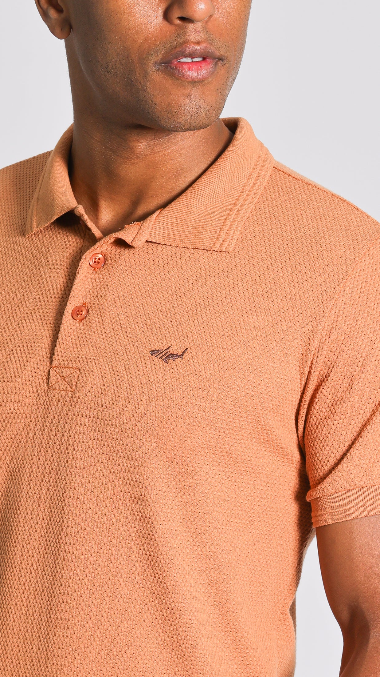 KIT - GOIÂNIA | 2 POLOS COLMEIA