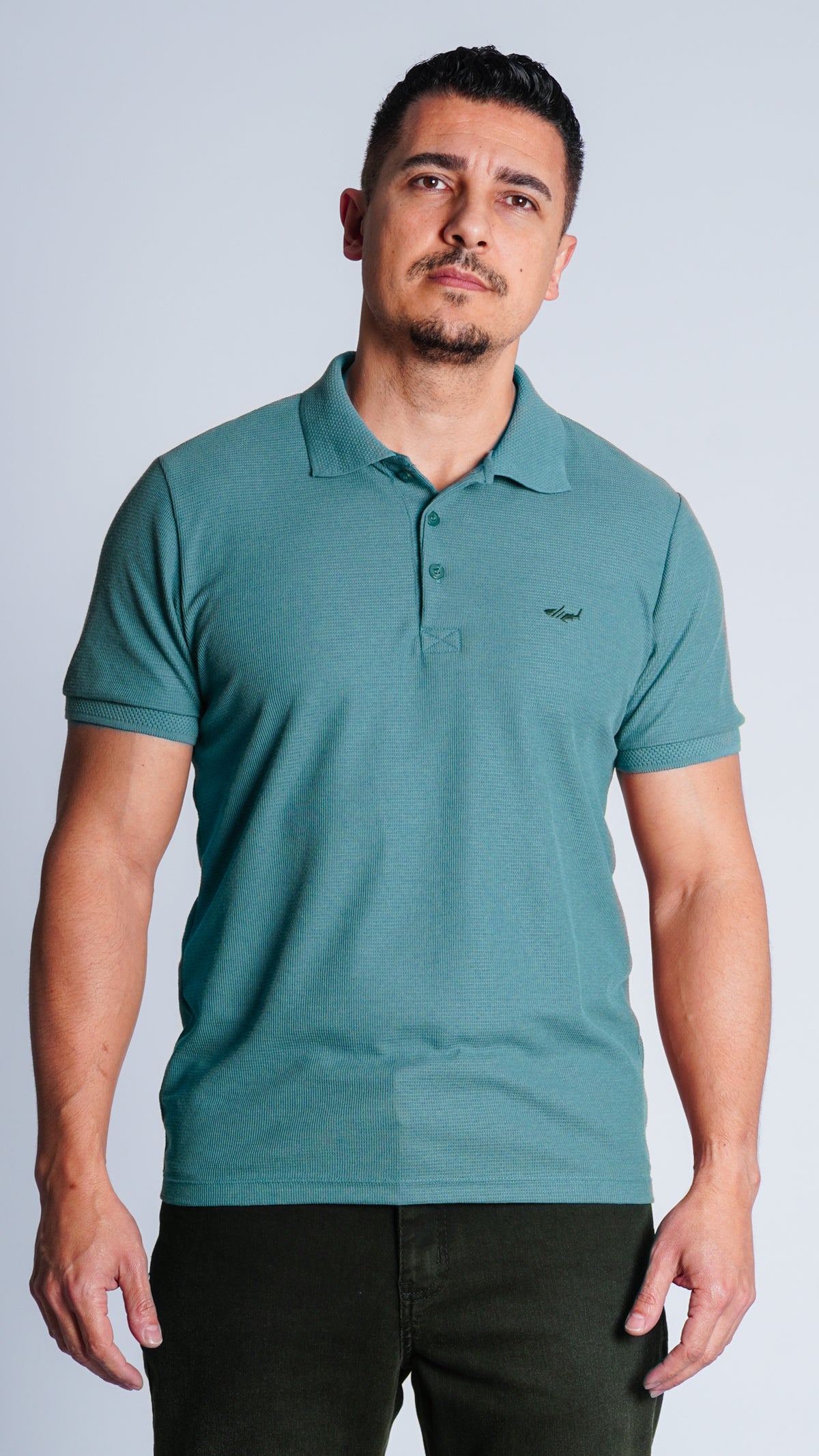Camisa Polo Jacquard Tricô - Verde