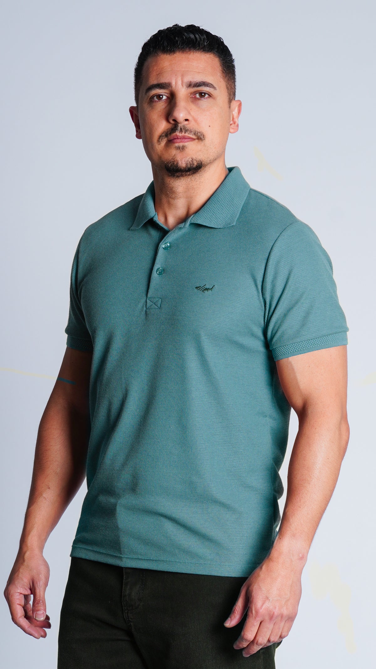 Camisa Polo Jacquard Tricô - Verde