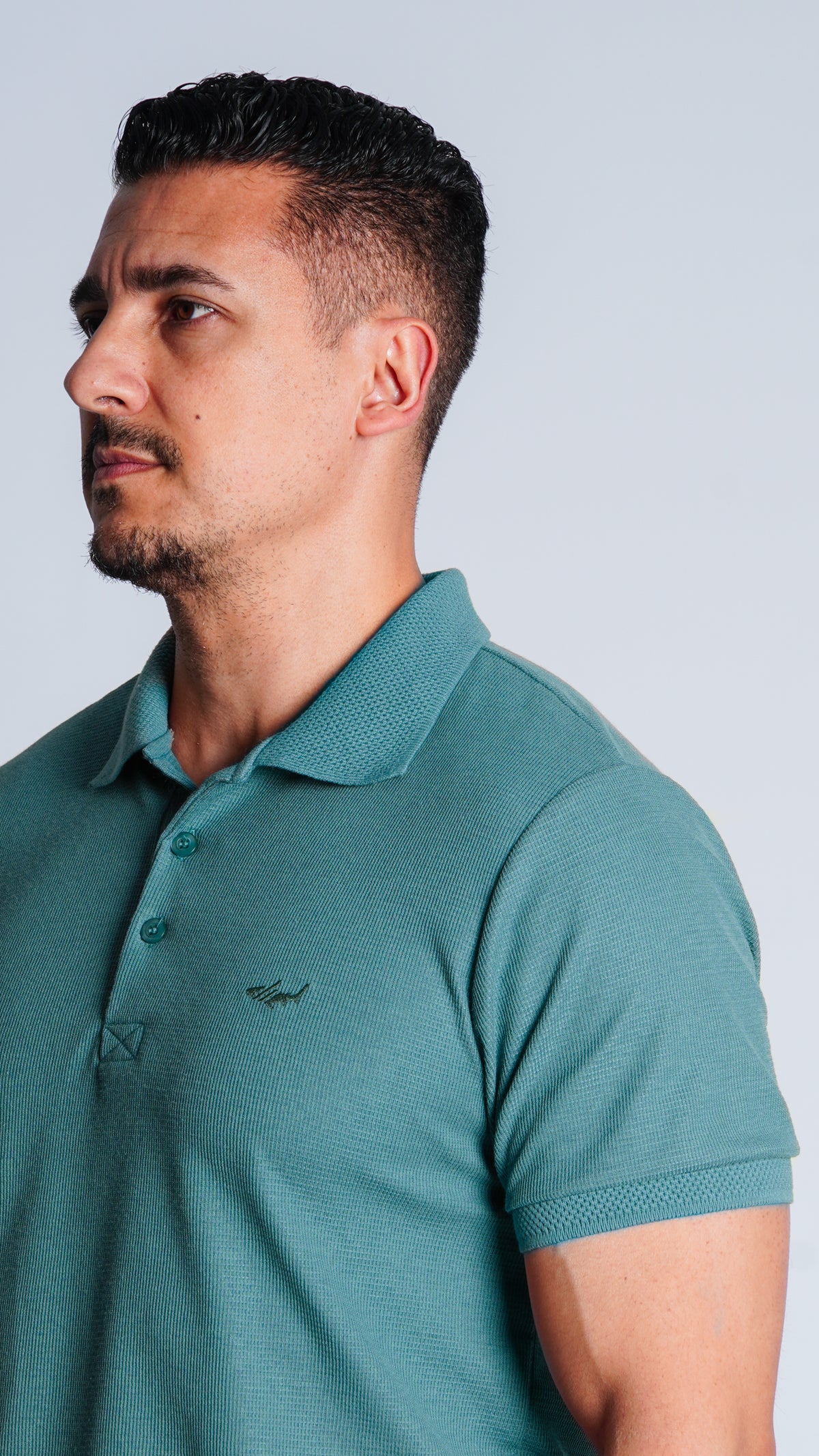 Camisa Polo Jacquard Tricô - Verde