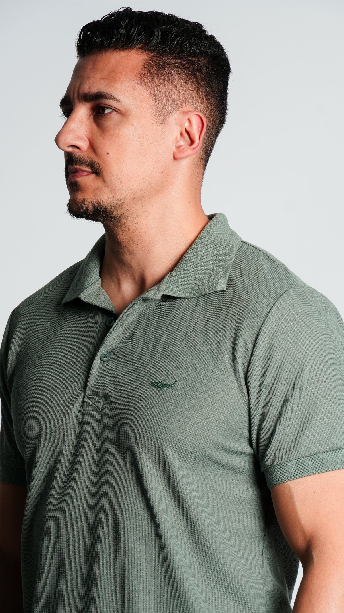 Camisa Polo Jacquard Tricô - Verde