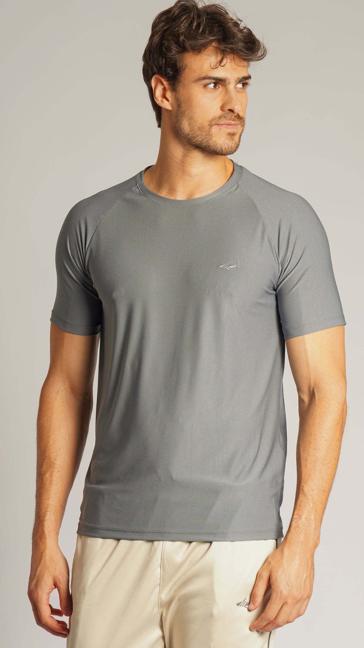 Camiseta Slim Dry Fit - Cinza
