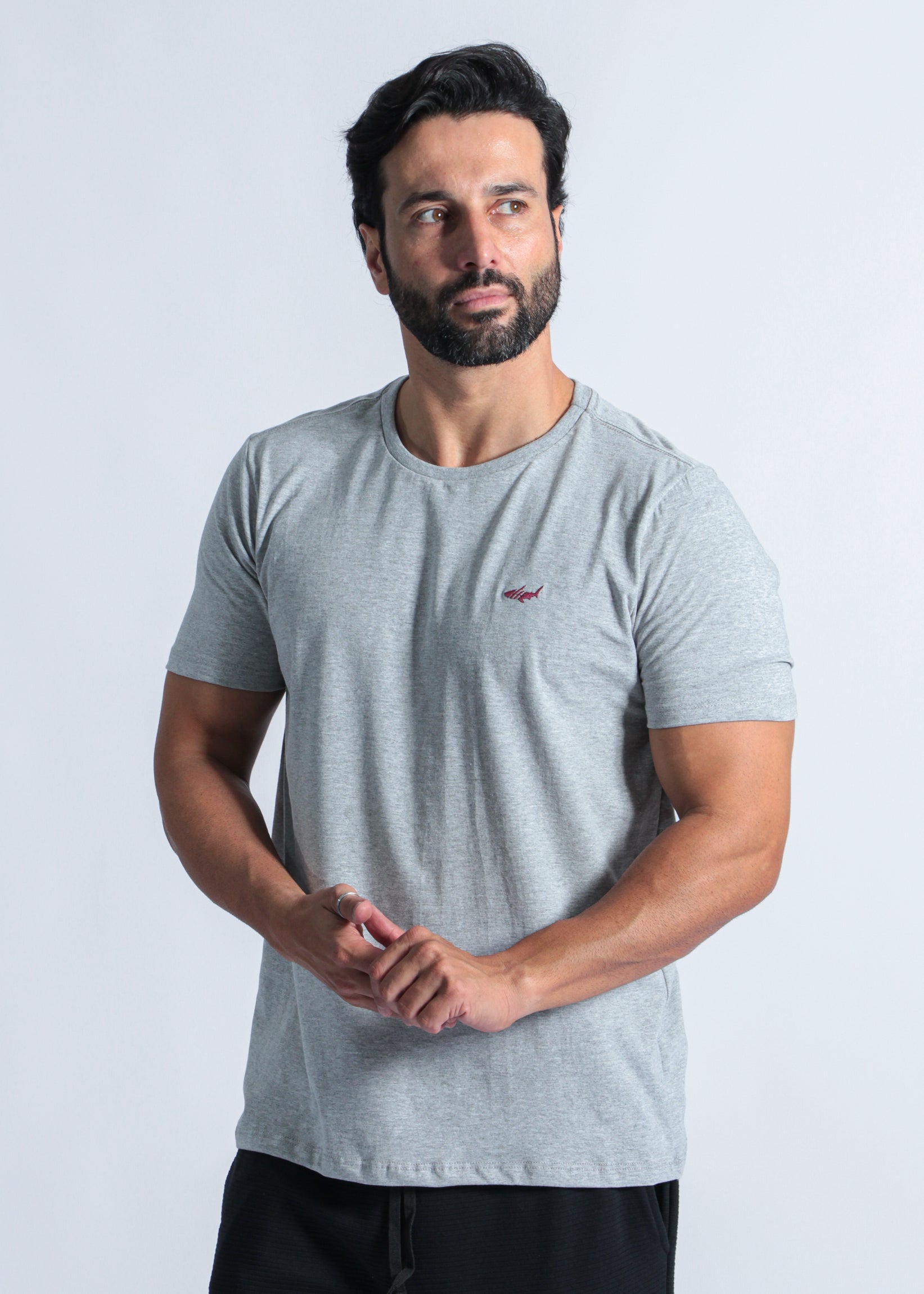 Camiseta Básica - Cinza