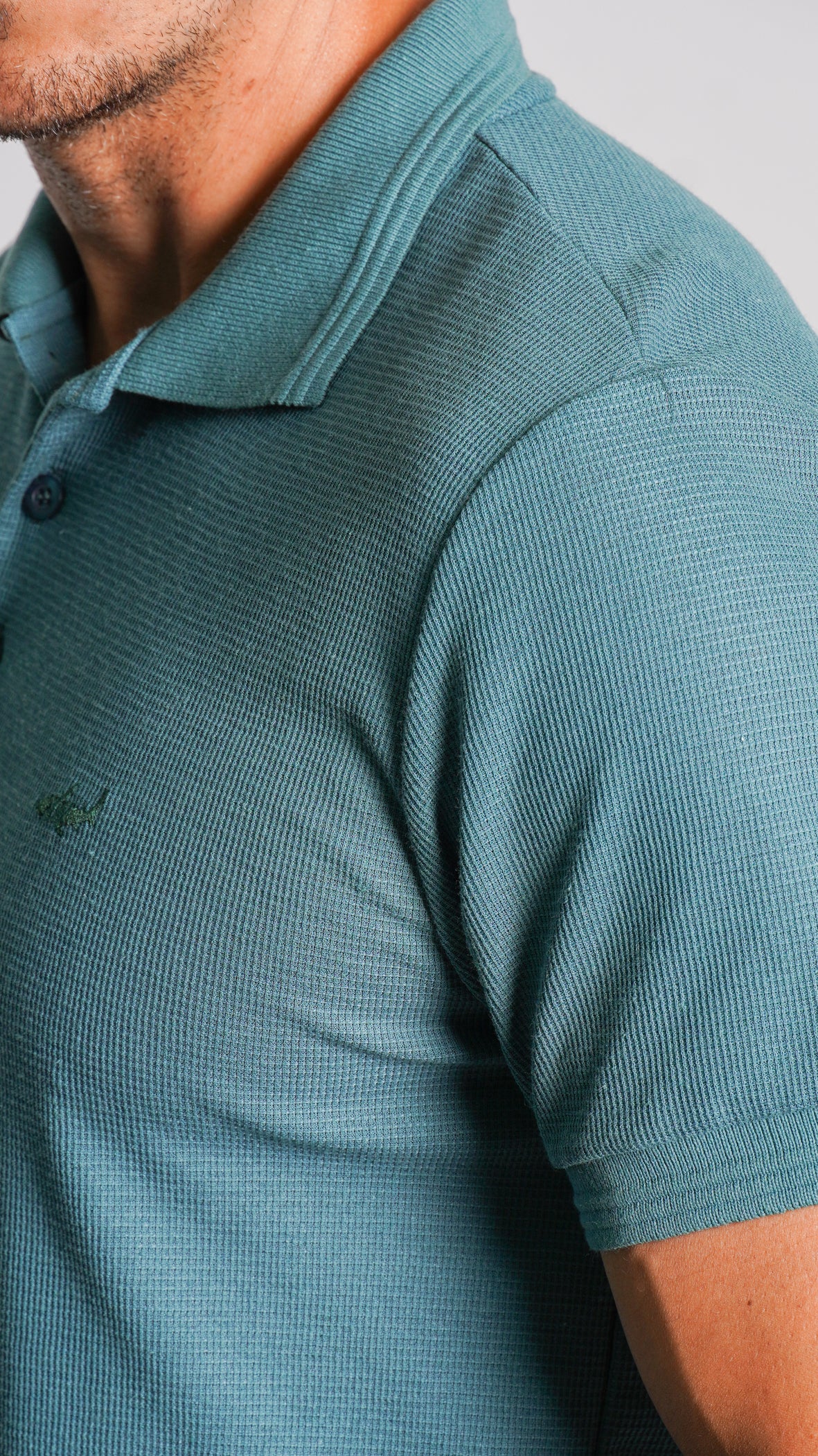 Camisa Polo Tricô Diamond - Verde