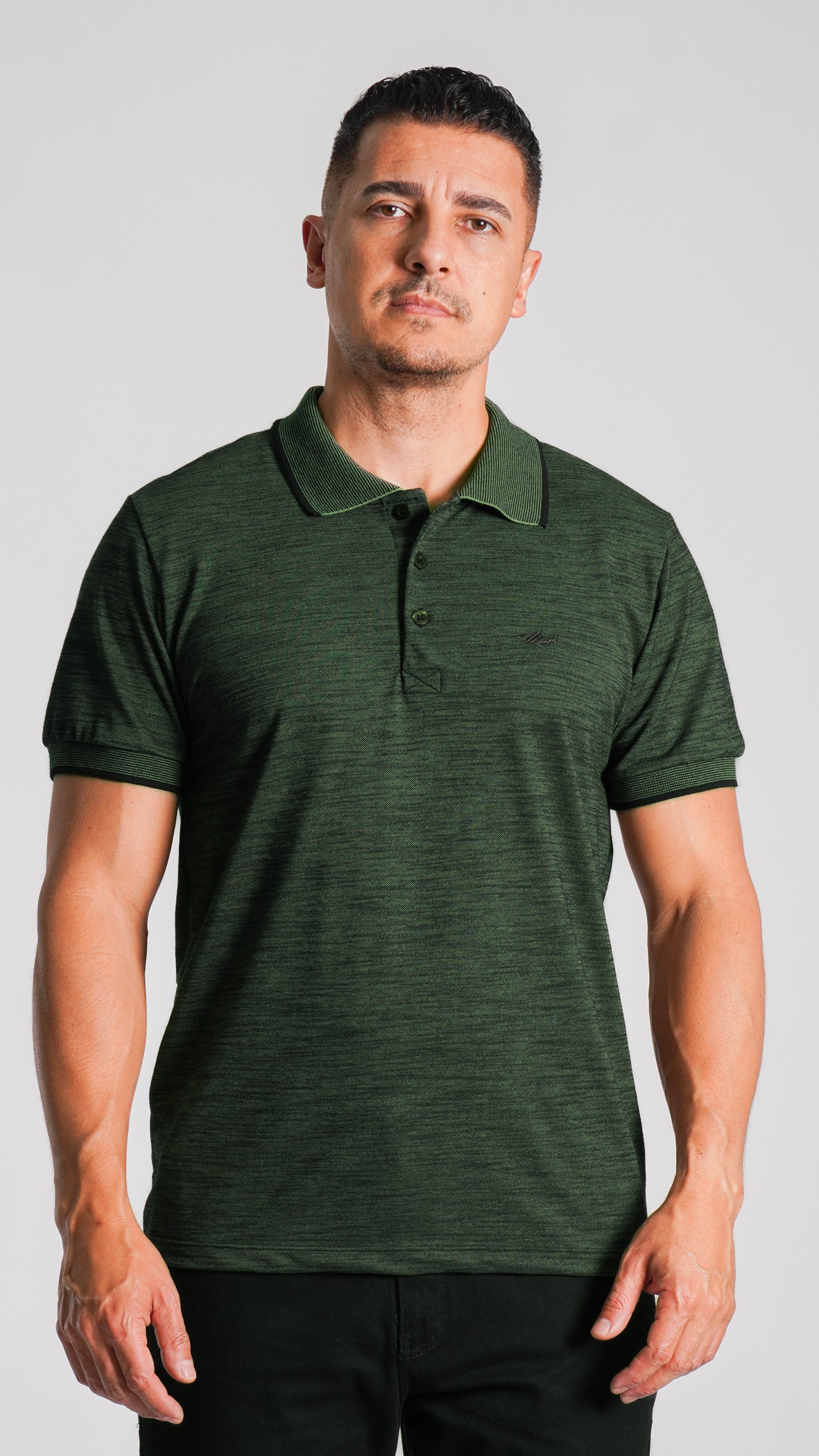 Camisa Polo Flamê - Verde